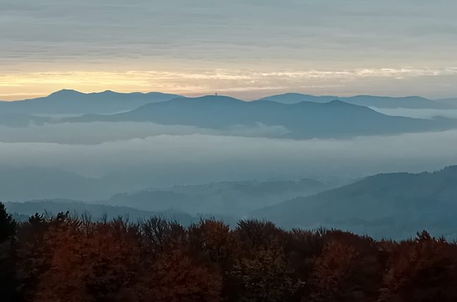 20241022_094414